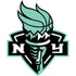 Logo featuring a stylized torch with a basketball-shaped flame, held by a green hand, with the letters NY on either side and a black, white, and teal color scheme.