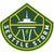 Seattle Storm logo featuring the Space Needle with a green lightning bolt at its base, set against a basketball background and bordered by the team name in bold white letters.