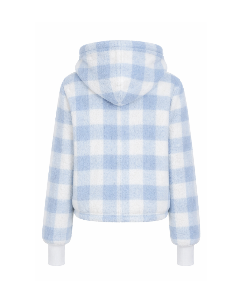 Blue and white checkered hoodie on a white background